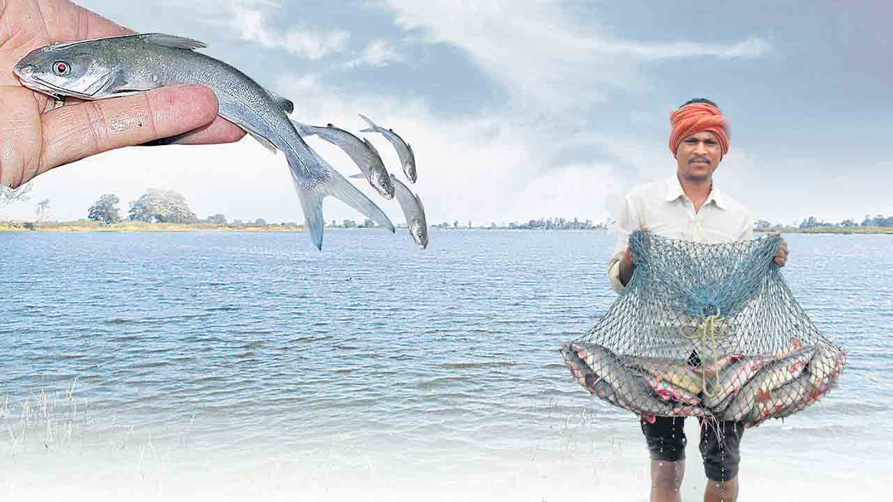 మత్స్యసిరి