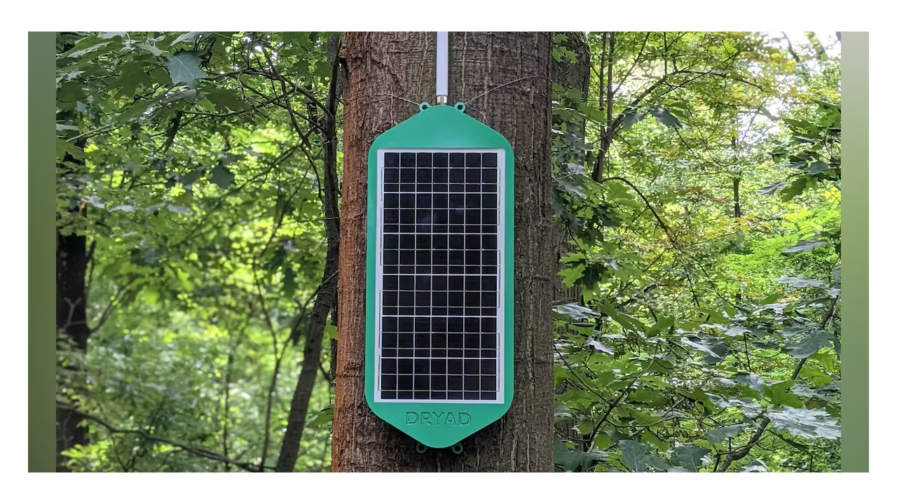 ELECTRONIC NOSE| కార్చిచ్చులను ముందే పసిగట్టే ‘ఎలక్ట్రానిక్‌ నోస్‌’