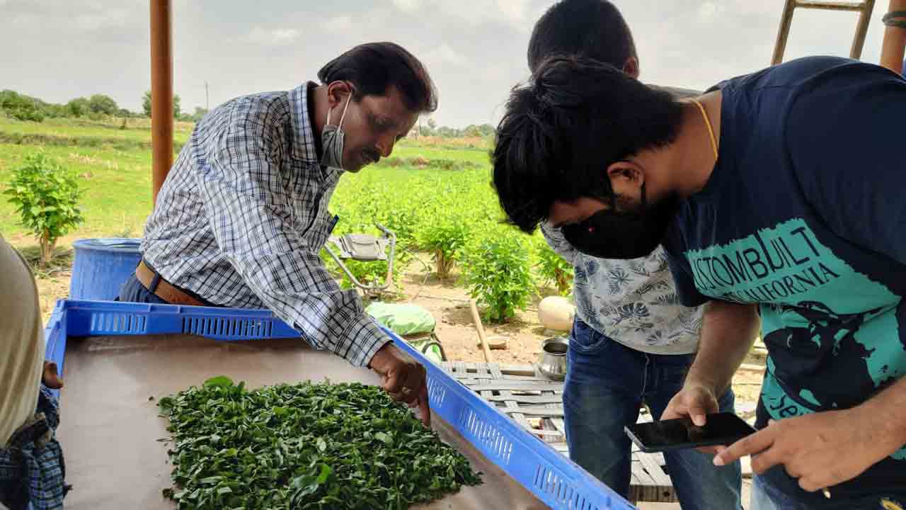 పట్టు వైపు.. రైతుల చూపు