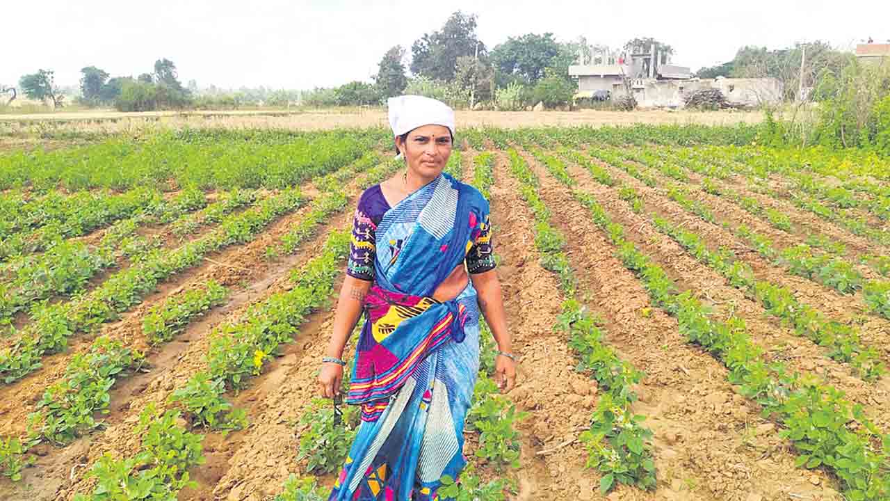 ఖర్చు వేలల్లో.. లాభాలు లక్షల్లో..