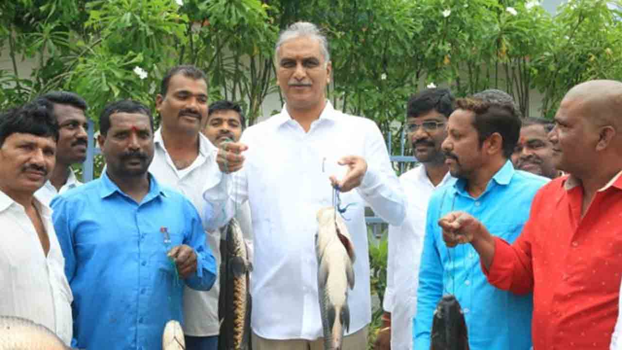 Telangana | నాడు ఏపీ చెరువుల్లో పెంచిన చేప‌లే దిక్కయ్యేవి.. నేడు మ‌న చెరువుల్లోనే పండుతున్న‌ చేప‌ల పంట..