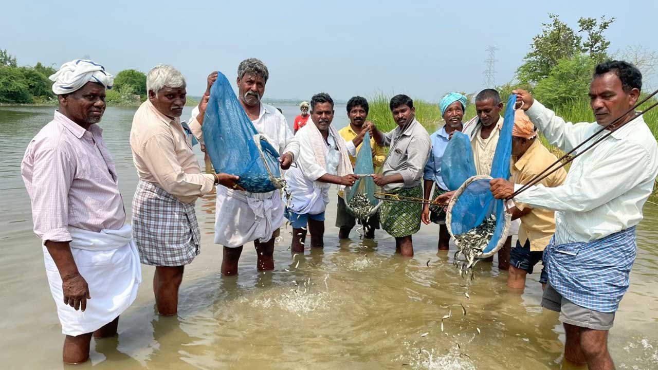 మత్స్యకారులకు చేయూత