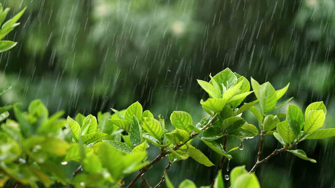 బహురూపం