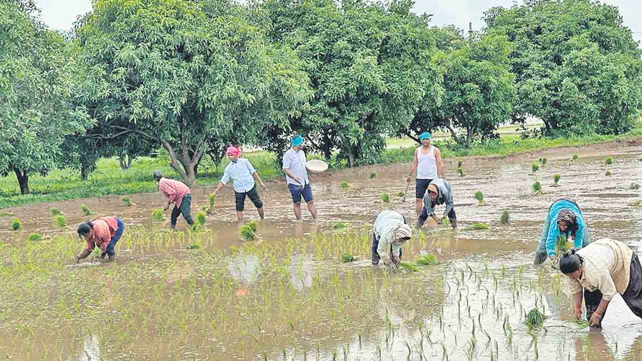 పెరగనున్న వ్యవసాయ సాగు