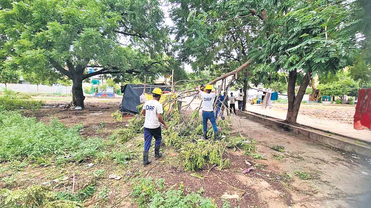 వరంగల్‌లో ఈవీడీఎం సహాయక చర్యలు