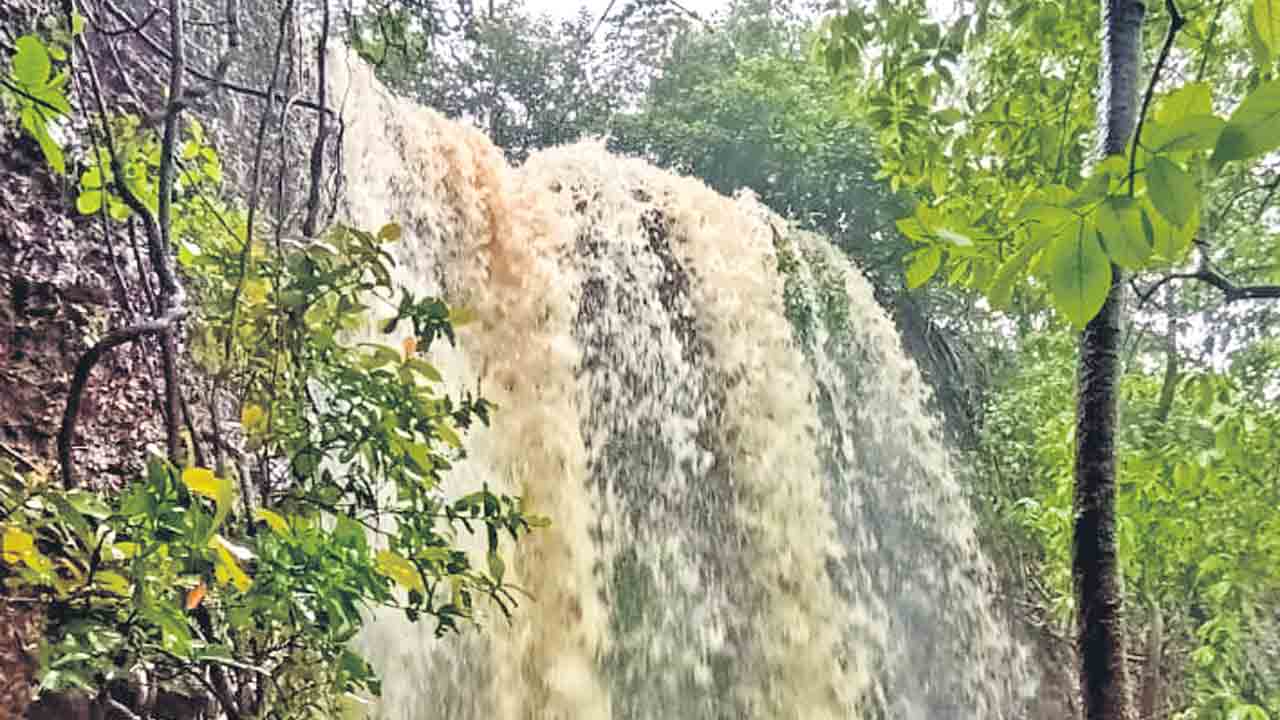 వాన జోరు.. వరద హోరు..