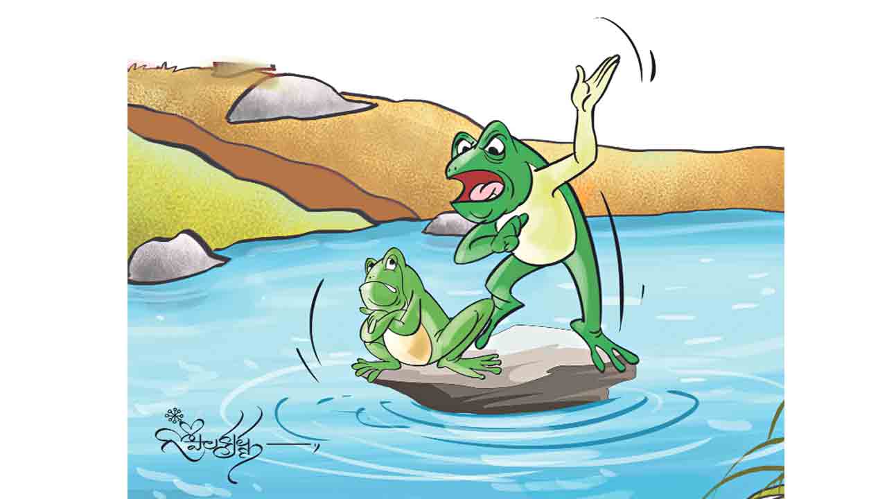 పచ్చ కప్ప