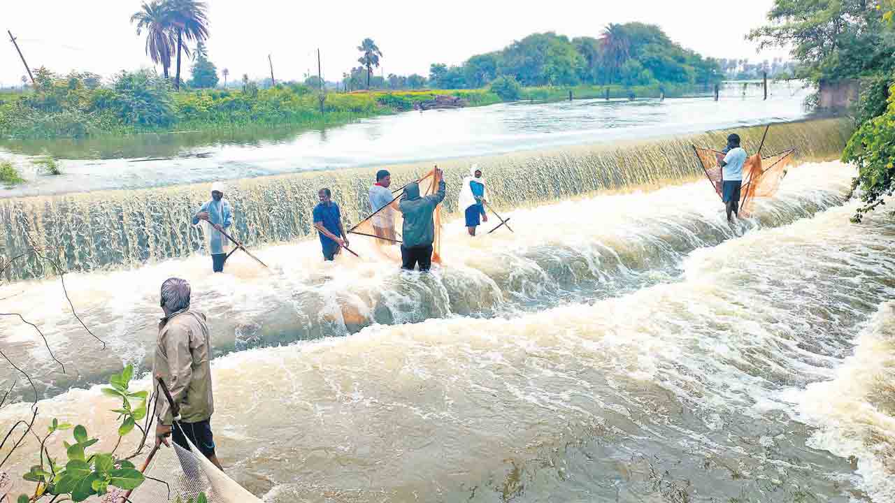 వదలని వాన