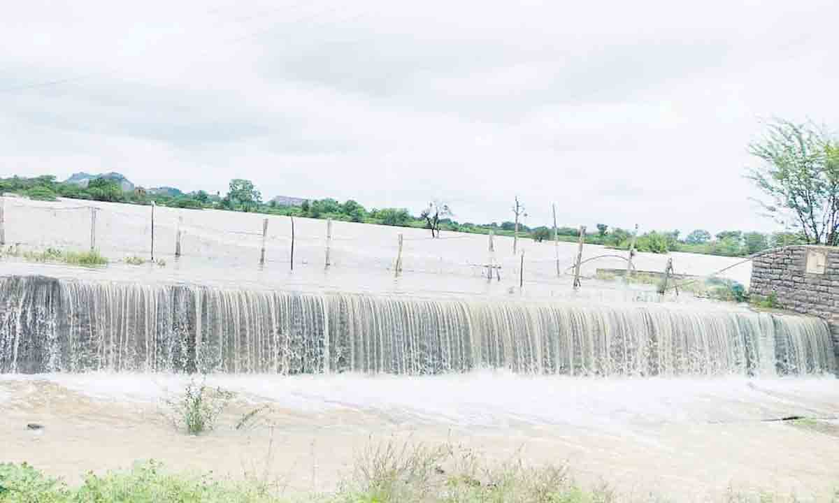 జలసవ్వడి