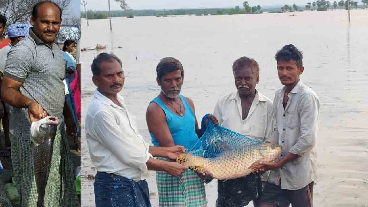 జల జలా పుష్పాలు