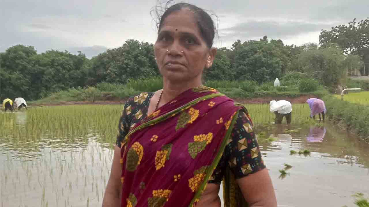 Congress | రేవంత్‌రెడ్డిపై రగులుతున్న పల్లెలు.. కాంగ్రెసోళ్లను తరిమికొట్టాలంటూ పంట పొలాల్లో కూలీల పాటలు