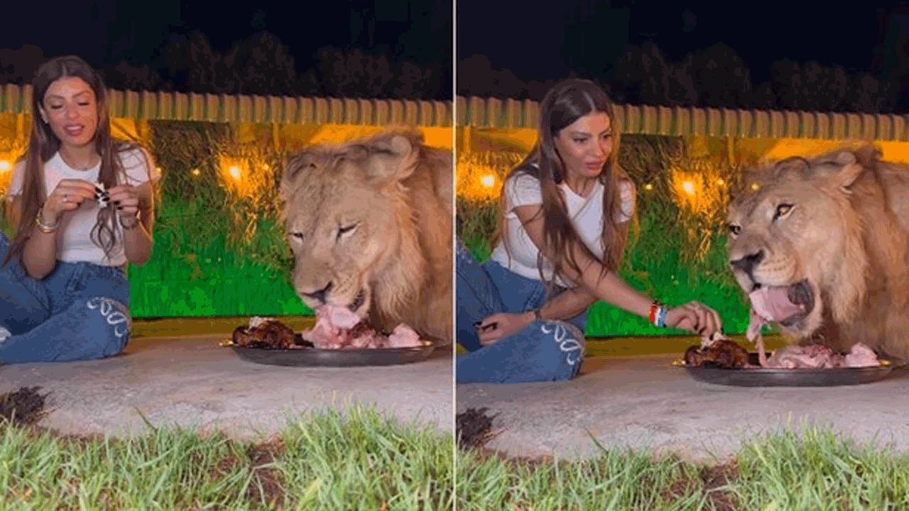 Viral Video | ఒకే కంచంలో.. సింహంతో ఫుడ్ షేర్ చేసుకున్న యువతి