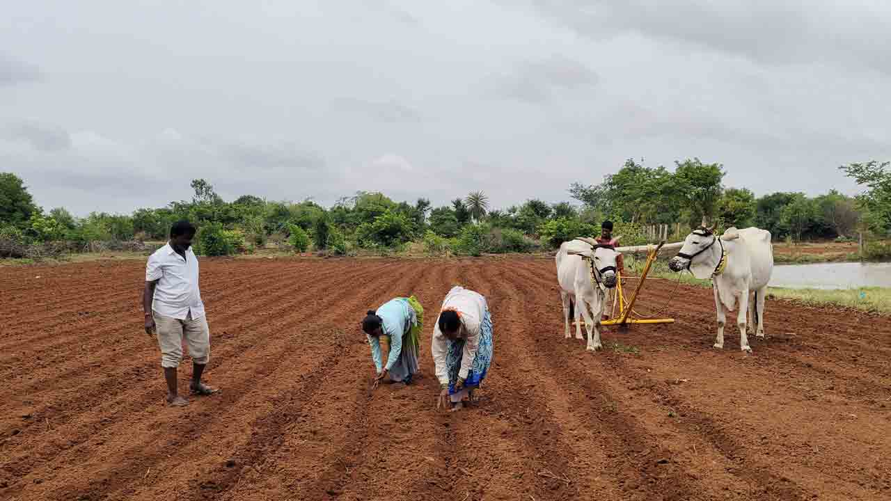 సర్కారు పథకాలు.. సంక్షేమ వరాలు
