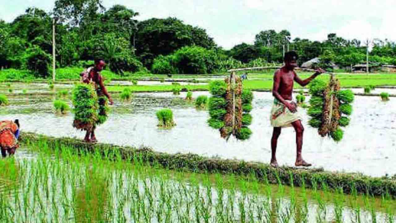 బీమాతో భరోసా..