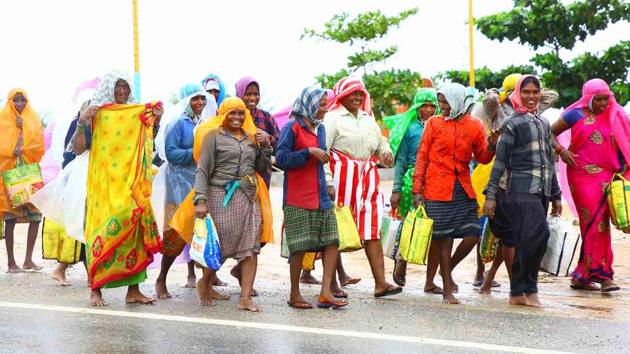 వర్షం హోరు.. పొలం పనుల జోరు