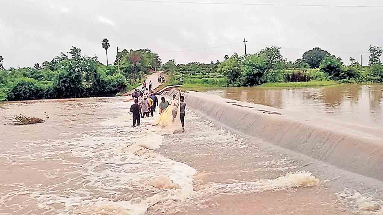 జోరు వాన