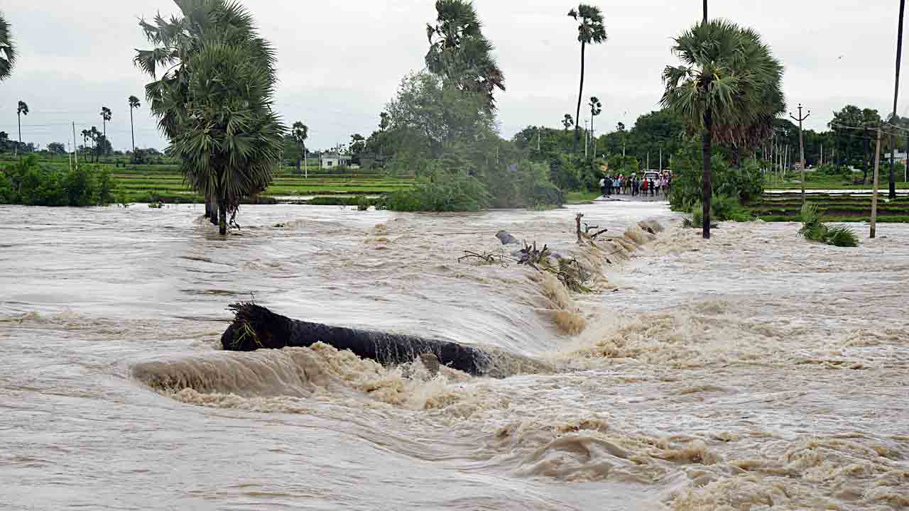 వానకు వెరువక.. వరదకు బెదురక