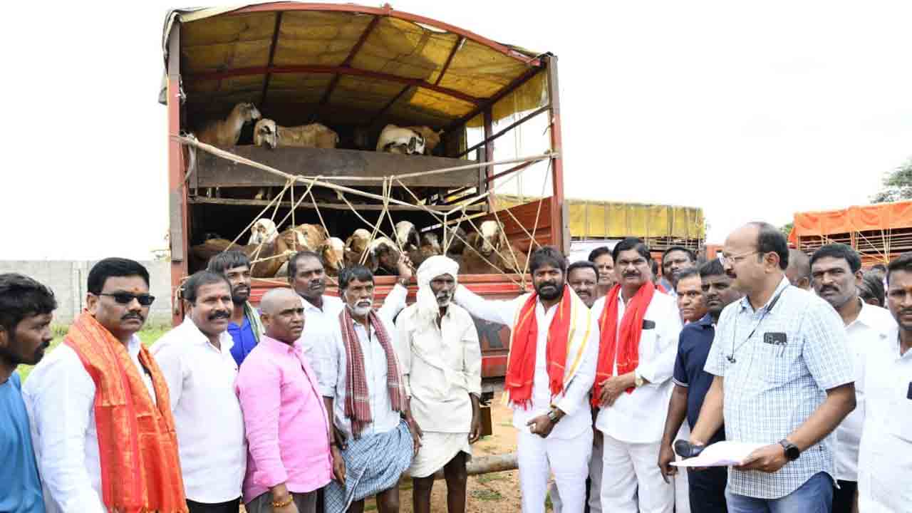 కురుమ, యాదవుల జీవితాల్లో మార్పు