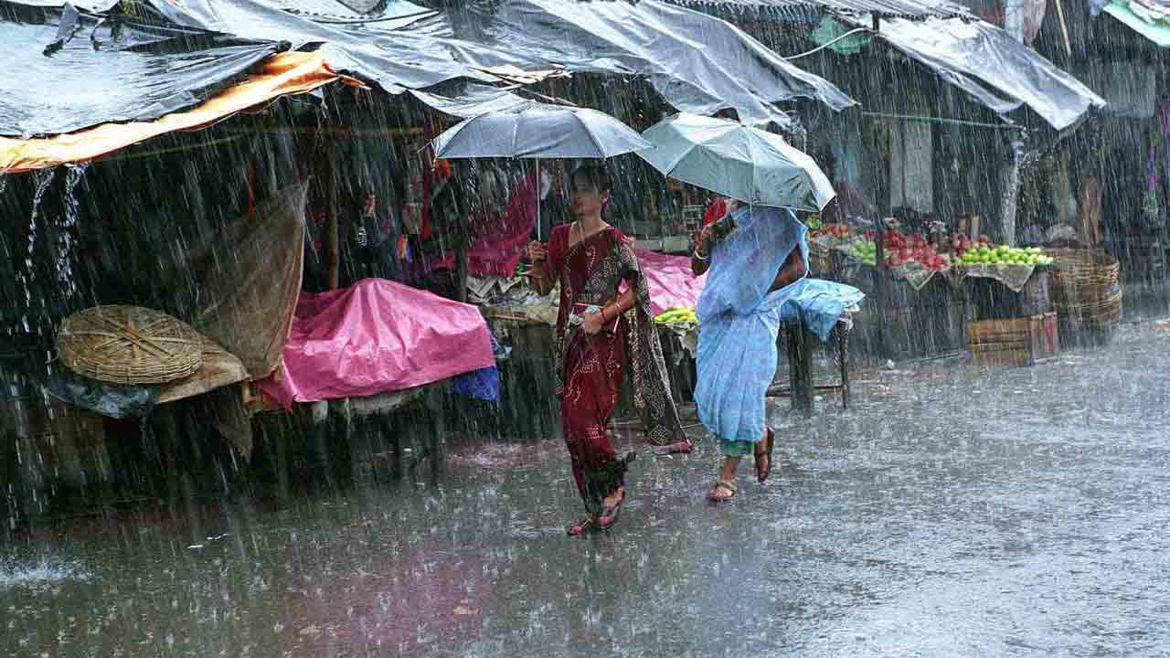 వానకాలం.. పోషకాల గొడుగు!