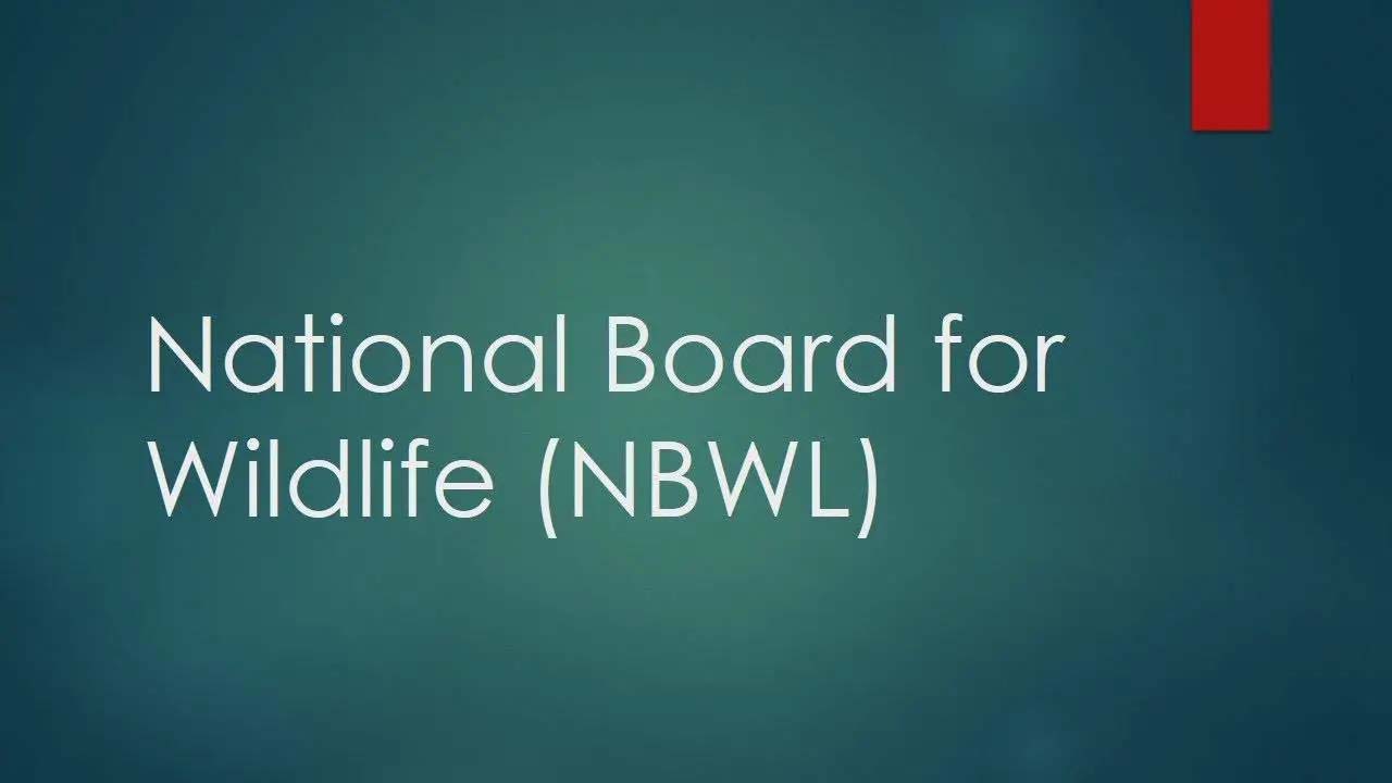 NBWL | తెలంగాణ ప్రాజెక్టులకు కేంద్ర వైల్డ్‌లైఫ్‌ బోర్డు గ్రీన్‌ సిగ్నల్‌..!