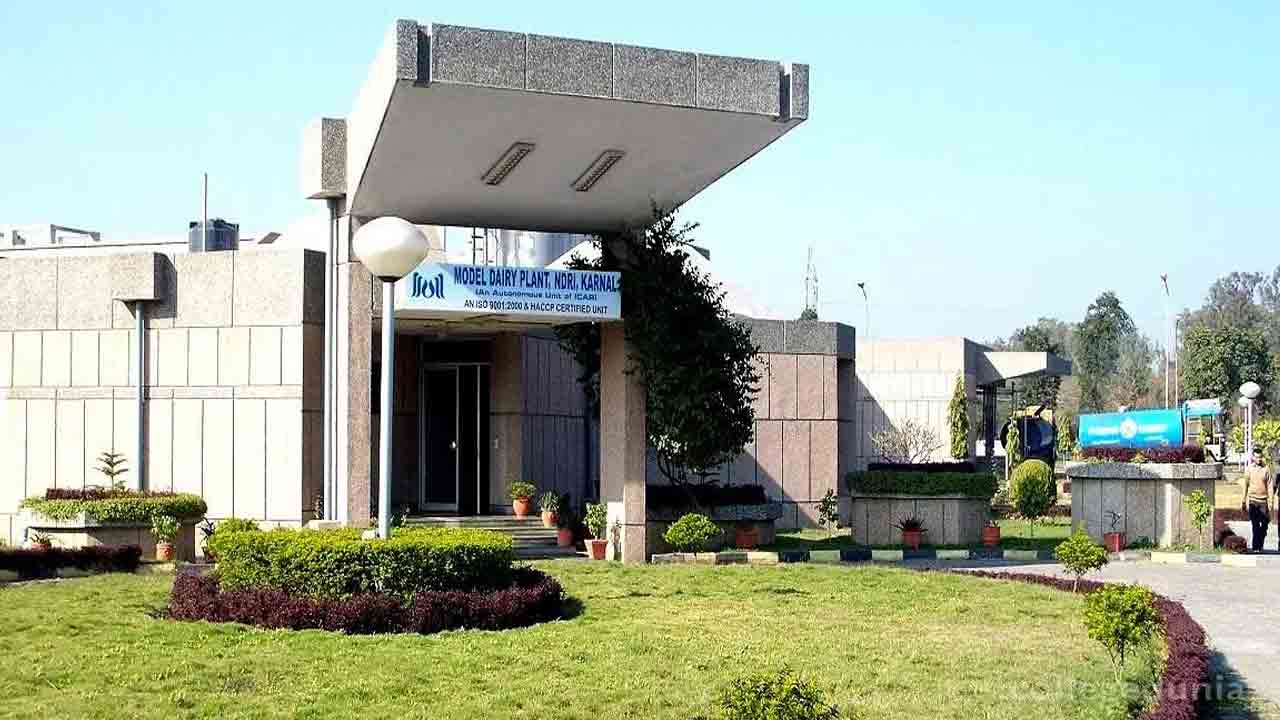 NDRI Recruitment | నేషనల్‌ డెయిరీ రిసెర్చ్‌ ఇన్‌స్టిట్యూట్‌లో రిసెర్చ్‌ ఫెలో పోస్టులు