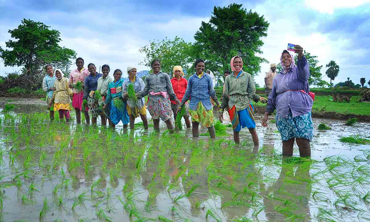 సాగు.. సంతోషం