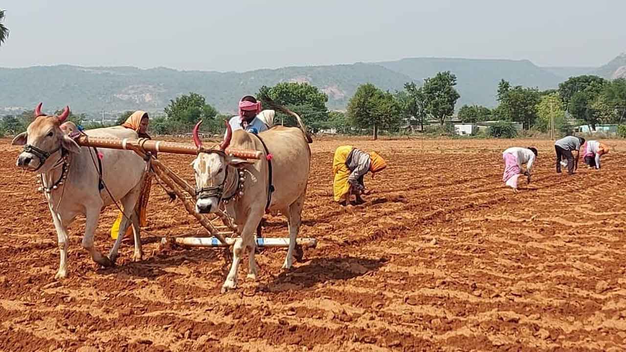 పట్టాల పండుగ