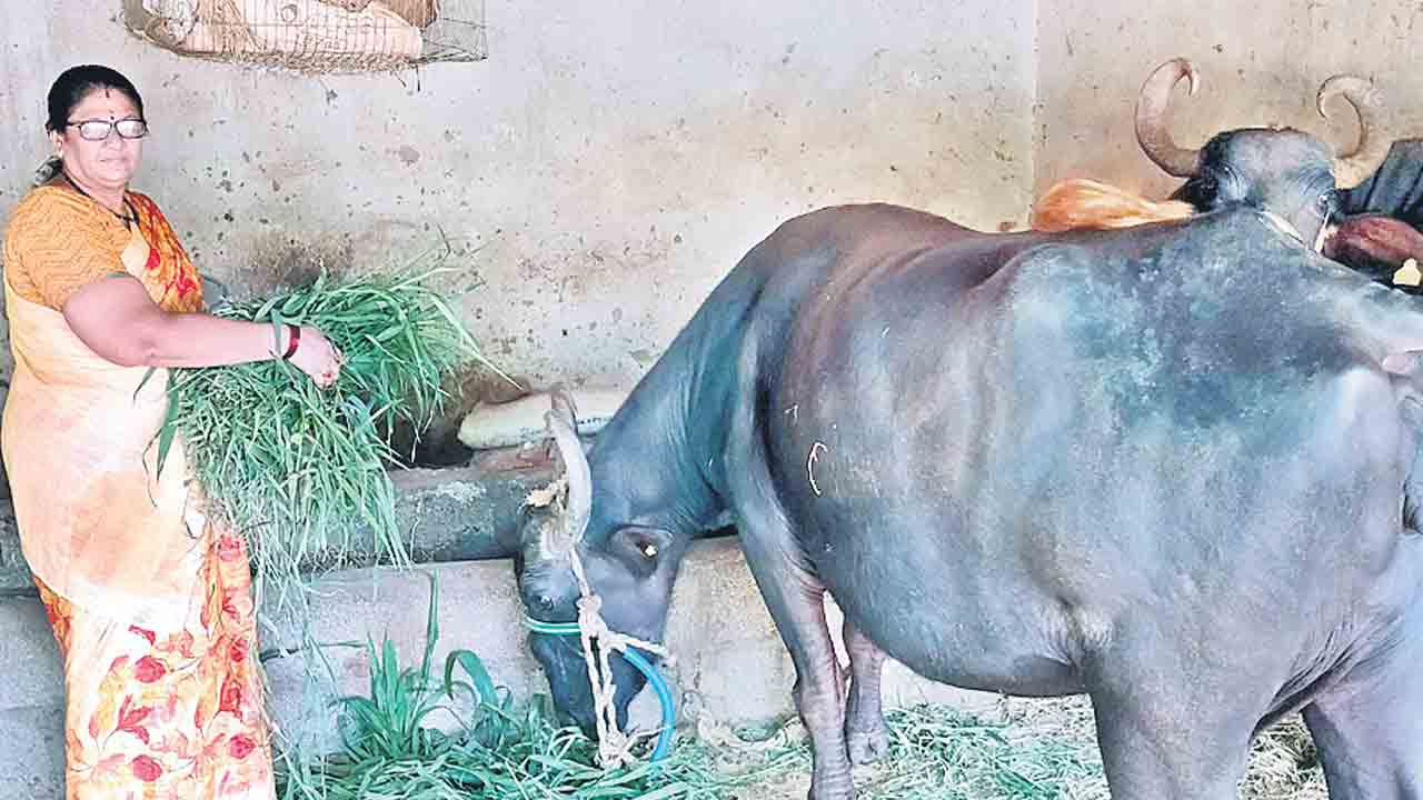 మహిళలు.. శ్రీమంతులు