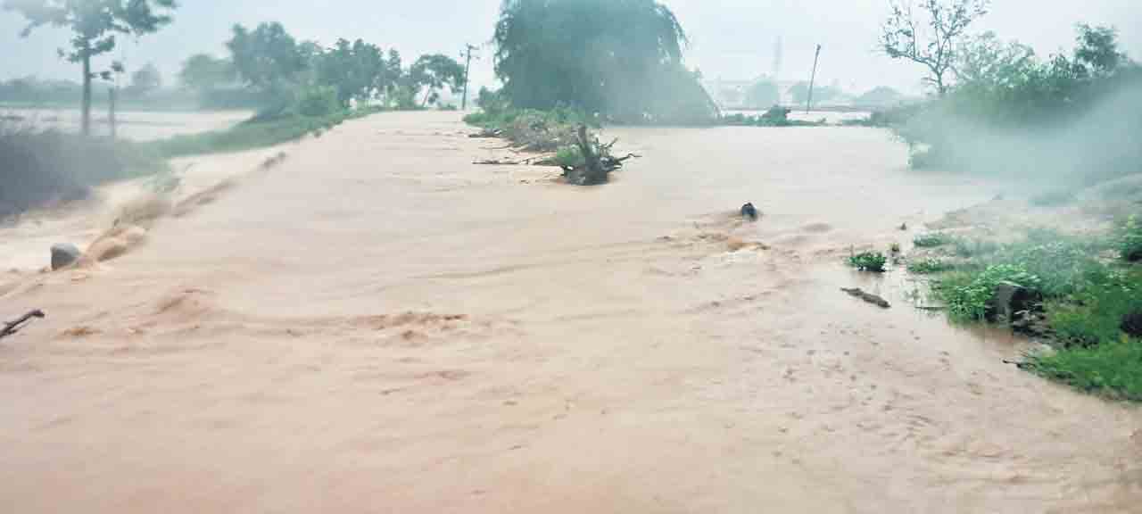 వాన.. హైరానా