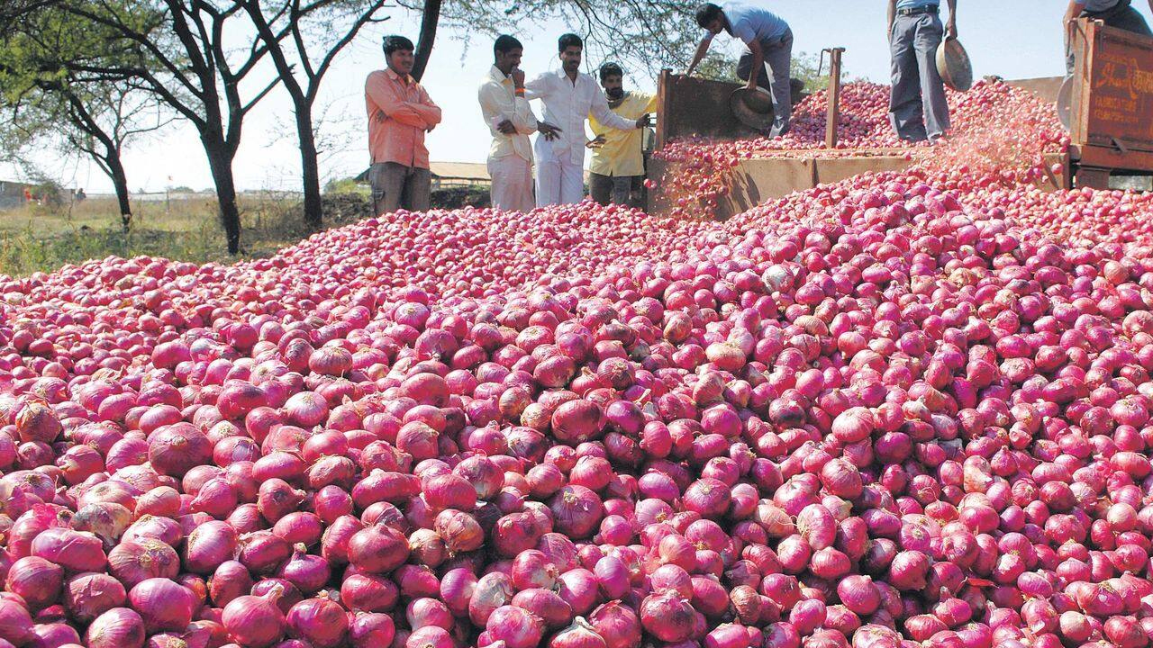 IRRADIATION | ఉల్లిపాయల నిల్వకు ఇర్రేడియేషన్‌ టెక్నాలజీ.. అసలేంటిది? సురక్షితమేనా?