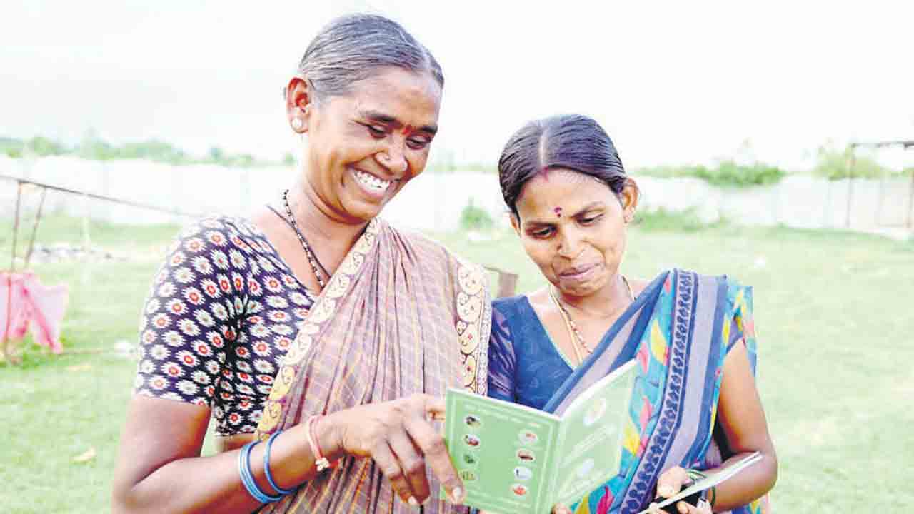 పోడు రైతుకు నేడే పట్టా.. రాజన్న సిరిసిల్ల జిల్లాలో మంత్రులు కేటీఆర్‌, కొప్పుల ఈశ్వర్‌ చేతుల మీదుగా పంపిణీ