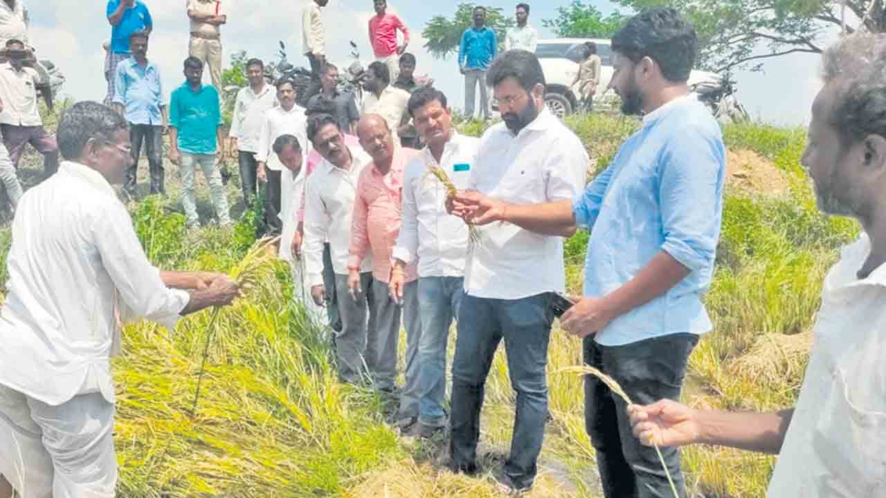 రైతన్నకు అండగా రాష్ట్ర ప్రభుత్వం