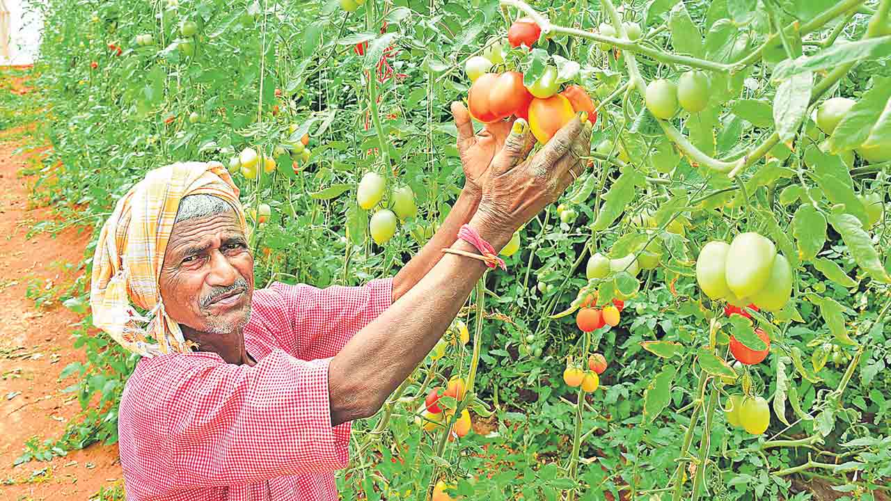 ఉద్యానం.. మనమే ఘనం