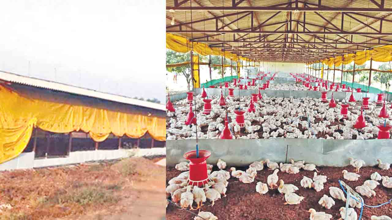 దశ మార్చిన దళిత బంధువు