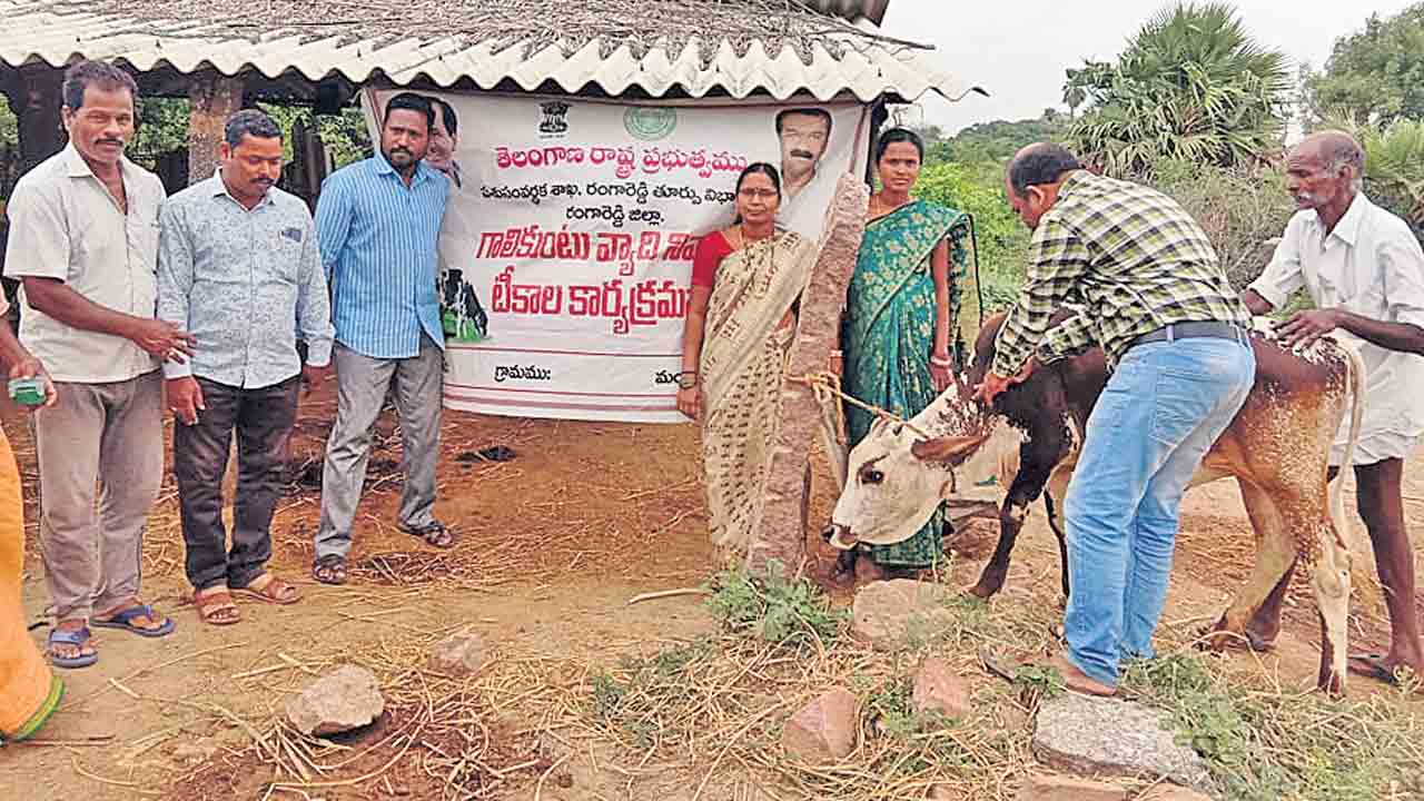 టీకాలకు వేళాయె
