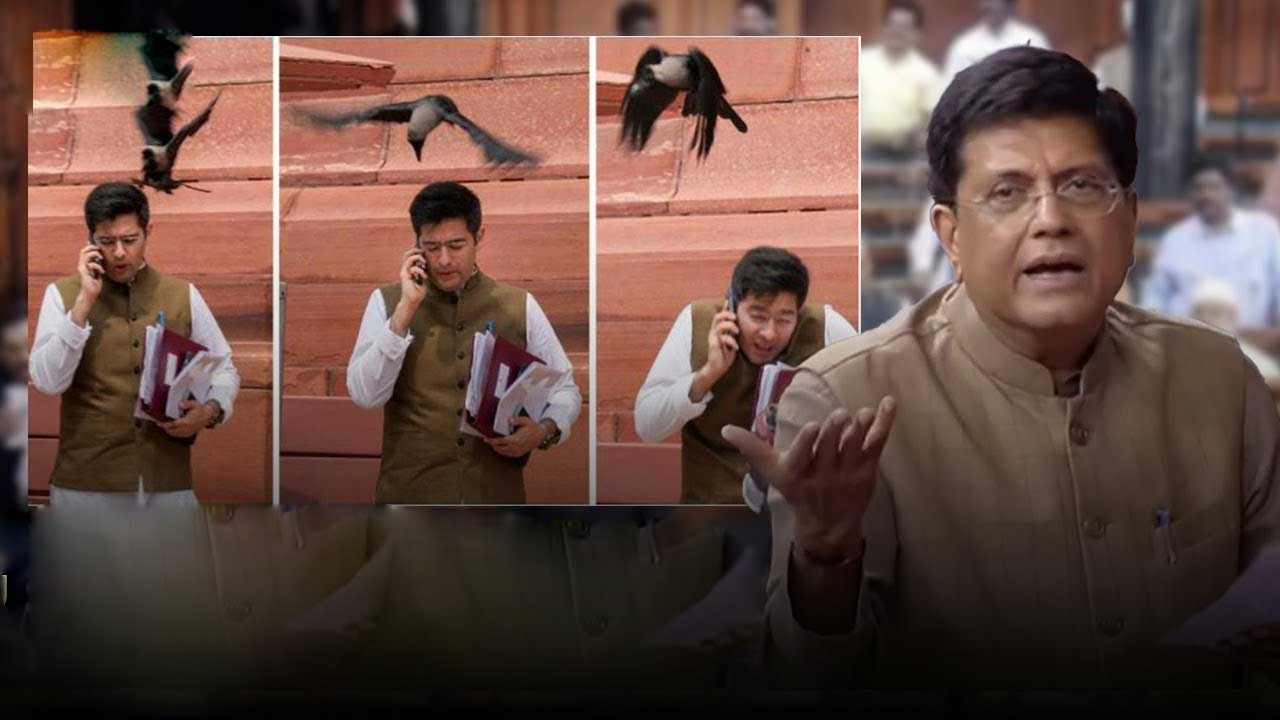 Raghav Chadha | నన్ను ఓ కాకి తన్నింది, మీ అరుపు అచ్చం దాని లాగే ఉంది.. కేంద్ర మంత్రికి ఆప్‌ ఎంపీ రాఘవ్‌ చద్దా స్ట్రాంగ్‌ కౌంటర్‌