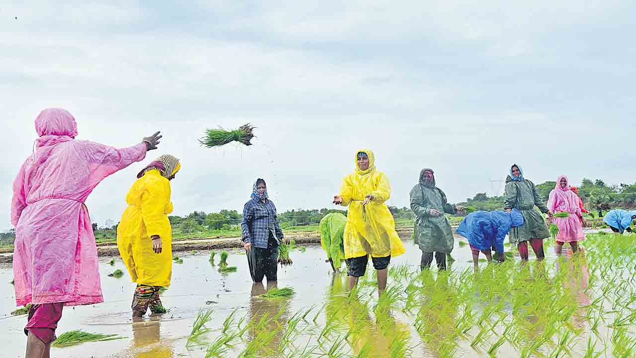 ముసిరిన చినుకు.. మురిసిన చెలక
