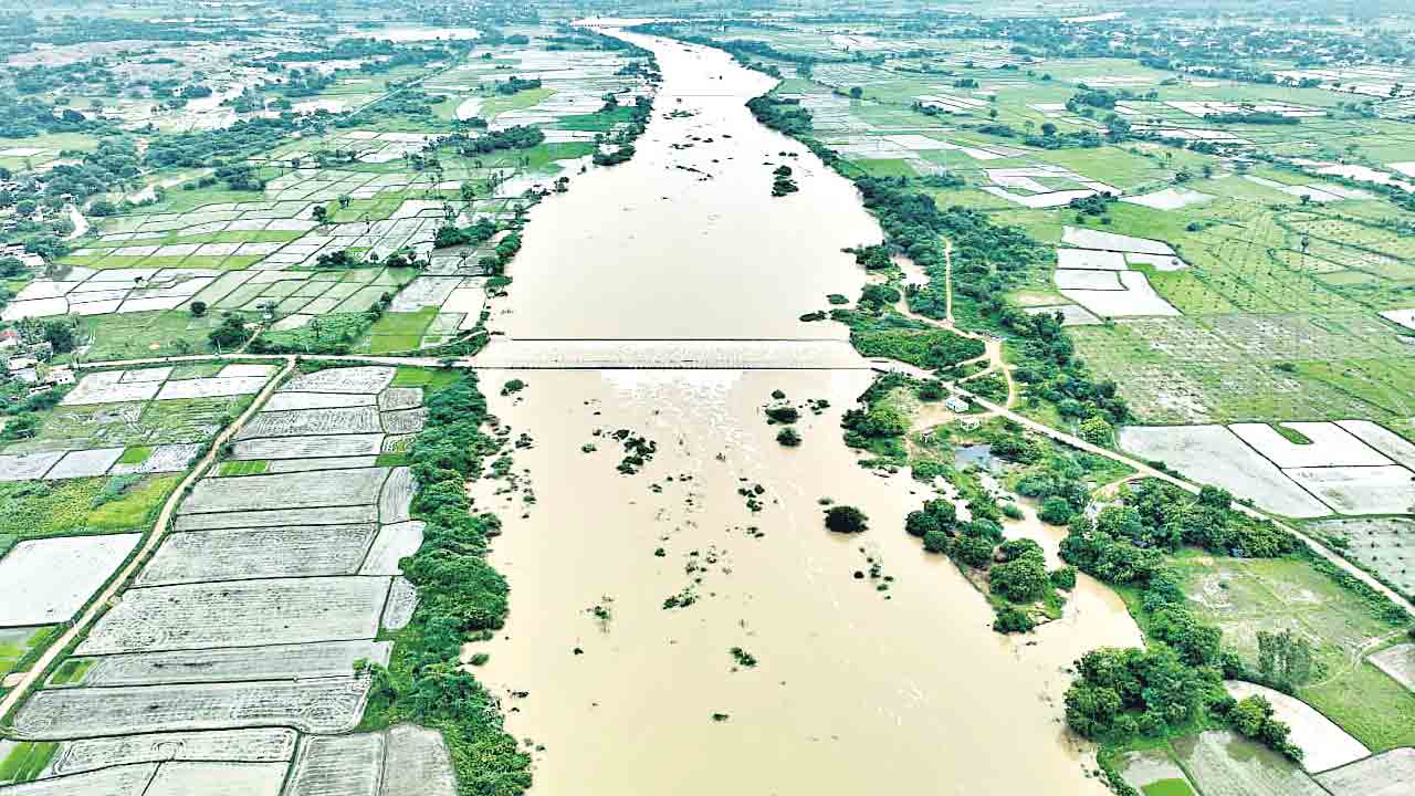 కరువు తీర్చి.. రాత మార్చి..