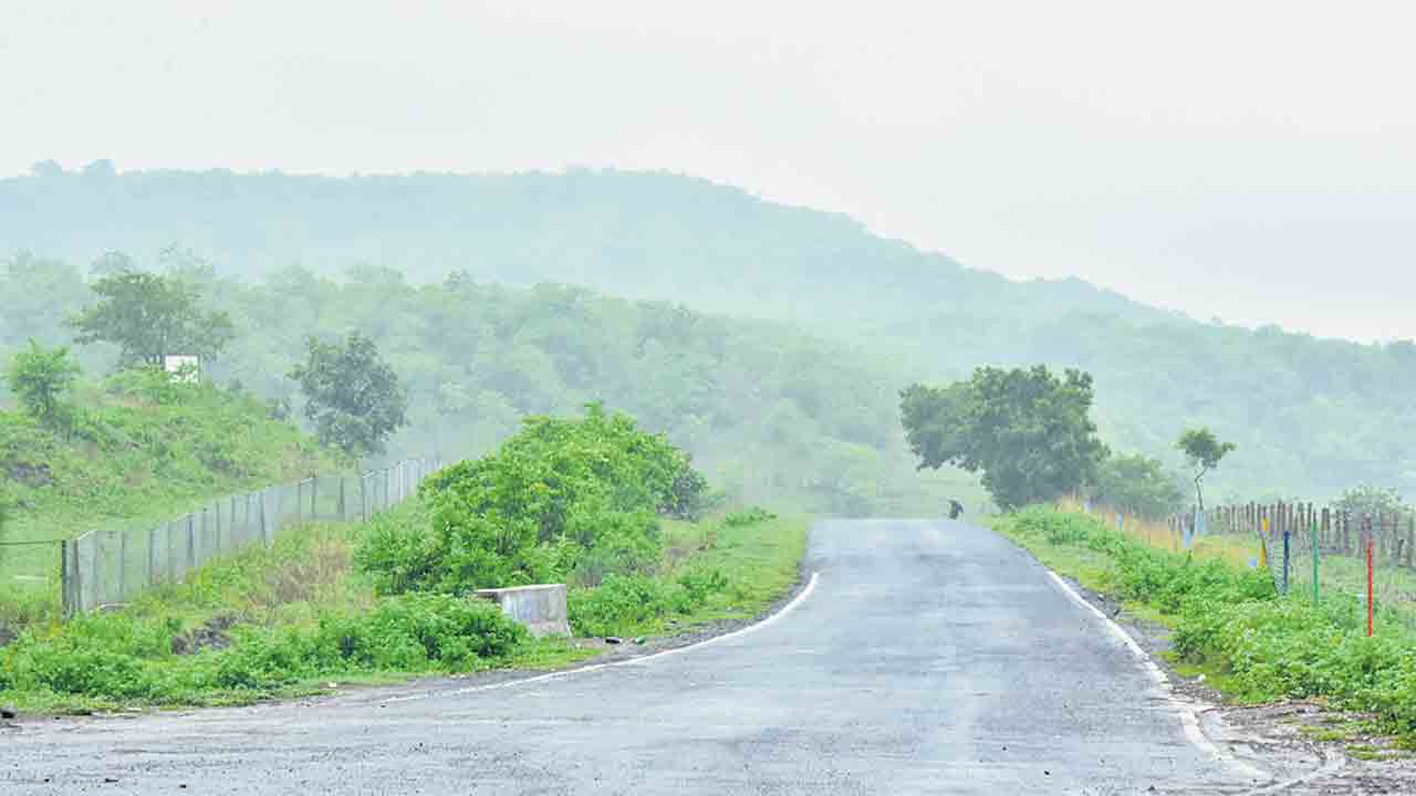 ముసురేసింది..