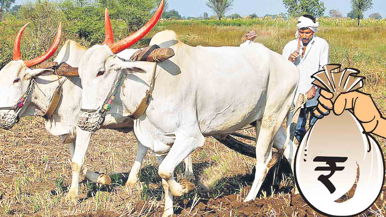 ఆదుకుంటూ.. అండగా నిలుస్తూ..