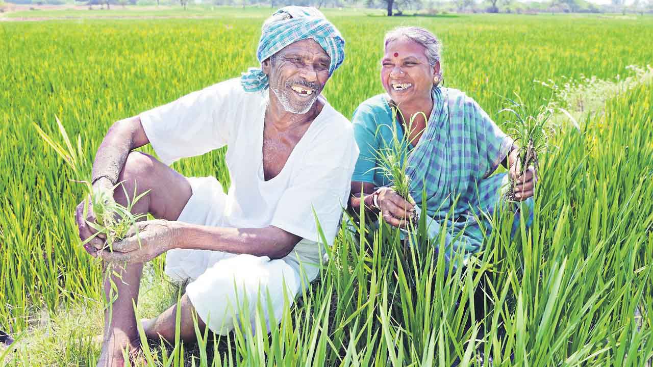 రైతుబంధు అందడంతో అన్నదాతల హర్షం.. హుషారుగా వానకాలం వరినాట్లు