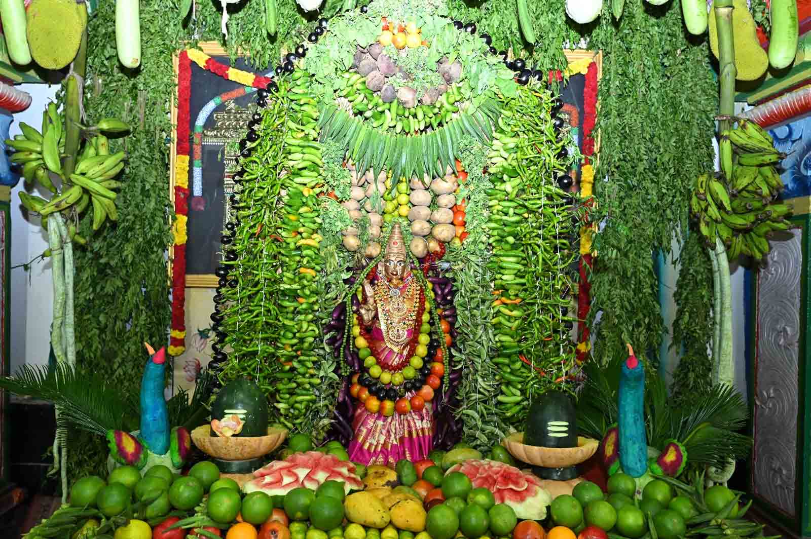 Srisailam | శ్రీశైలంలో సంప్రదాయంగా శాకంబరీ ఉత్సవం