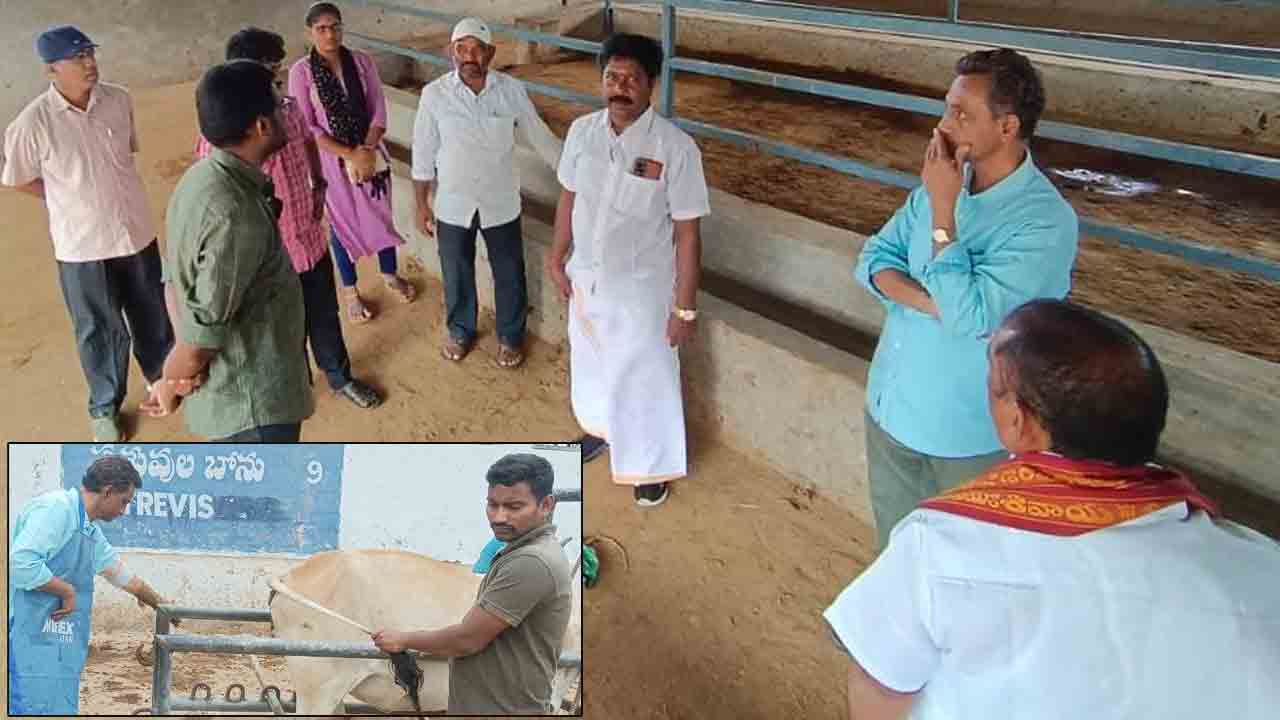 Srisailam | శ్రీశైల గోసంరక్షణ శాలను పరిశీలించిన పశువైద్యాధికారులు!