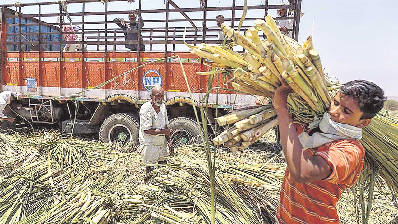 చెరుకు రైతుల సమరభేరి