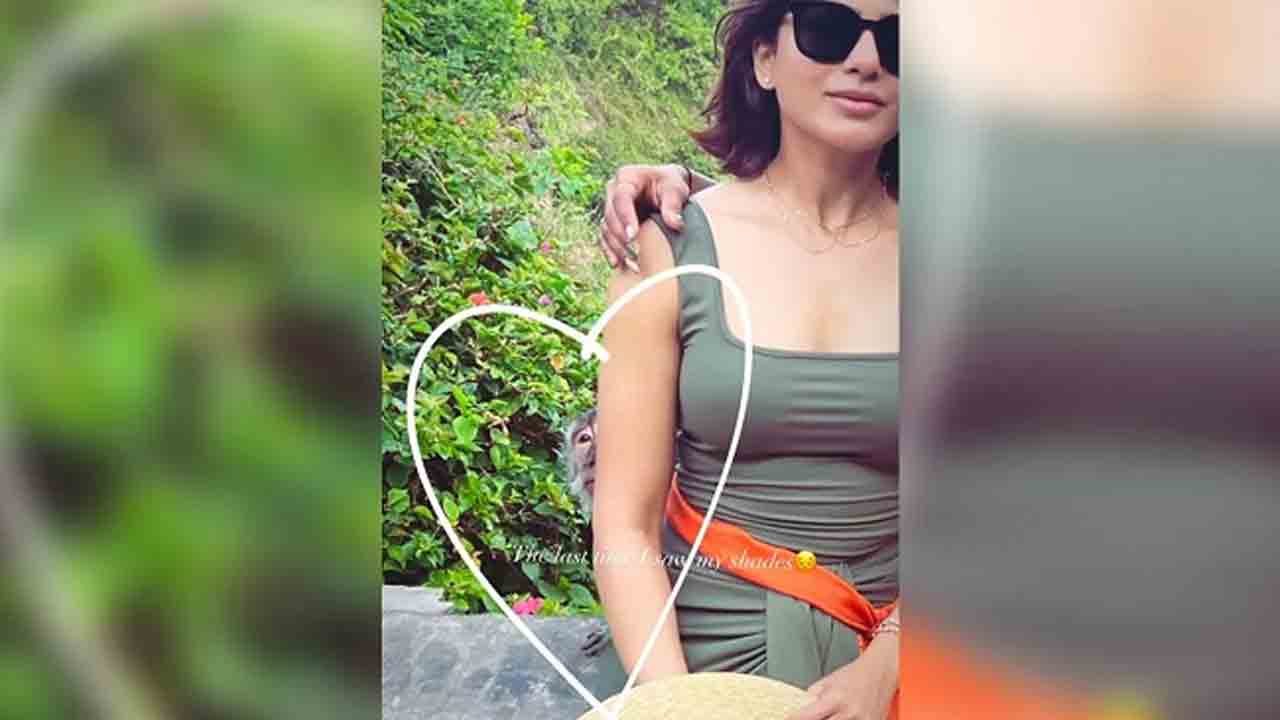 Samantha | సమంత వెనుక నుంచి వచ్చిన కోతి.. ఏం ఎత్తుకెళ్లిందో తెలుసా..?