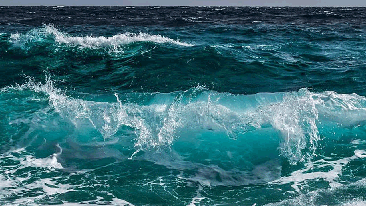 Tourist Plane | సముద్రంలో ల్యాండ్ అయిన టూరిస్ట్ విమానం.. ప్రయాణికులు సేఫ్