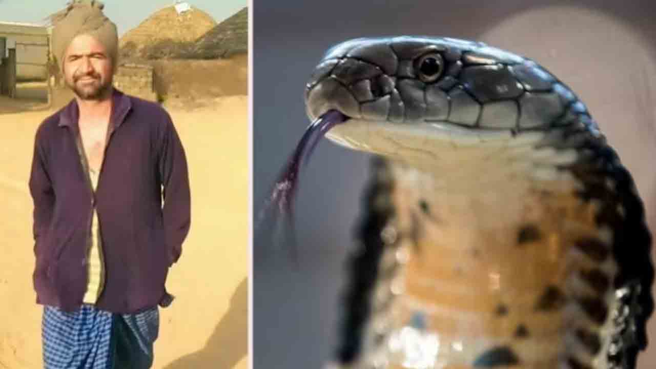 Snake bites man twice | వ్యక్తిని కాటేసిన పాము.. చికిత్స నుంచి కోలుకున్న అతడ్ని మళ్లీ కాటేయడంతో మృతి