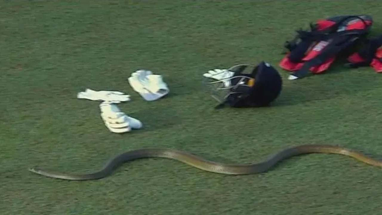 LPL Match | లంక ప్రీమియర్‌ లీగ్‌కు ప్రత్యేక అతిథి..! నాగిన్‌ మళ్లీ వచ్చిందన్న దినేశ్‌ కార్తీక్‌