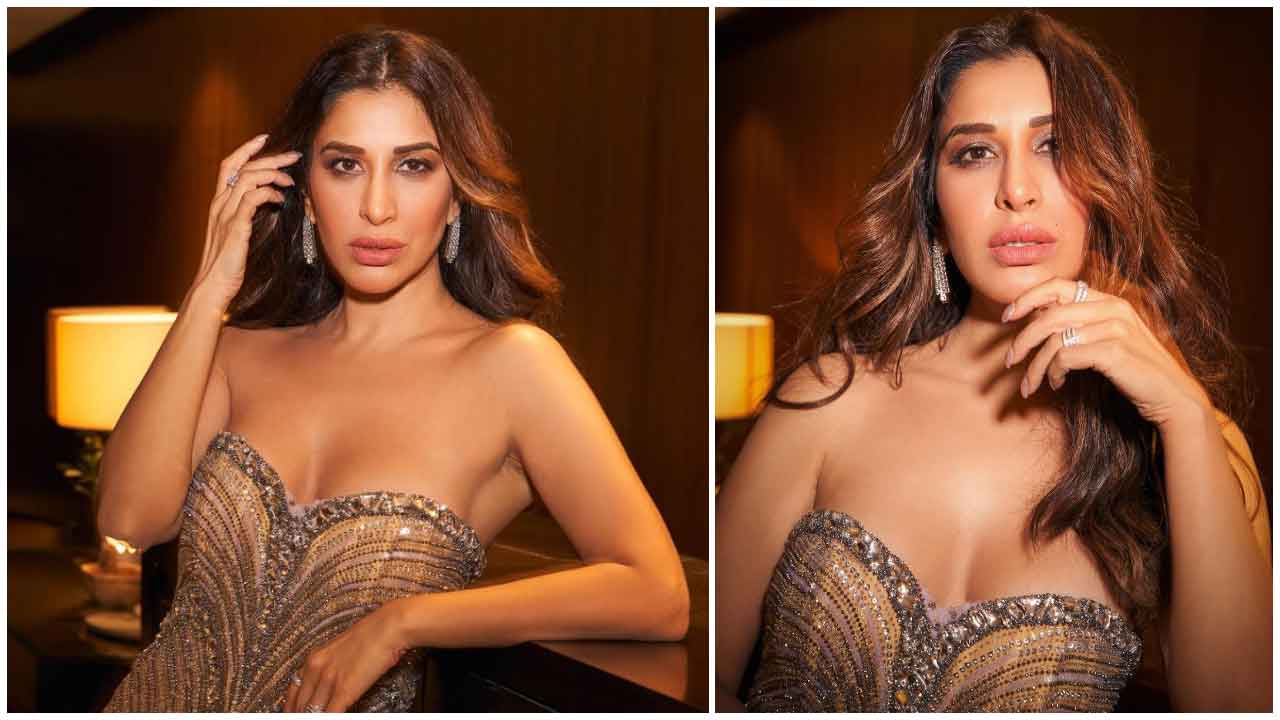 Sophie Choudry | మెరిసే డ్రెస్‌లో సోఫీ చౌదరి మెరుపులు..
