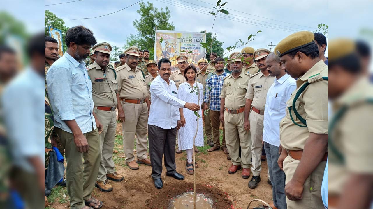 International Tiger Day | శ్రీశైలంలో ఘనంగా అంతర్జాతీయ పులుల దినోత్సవం
